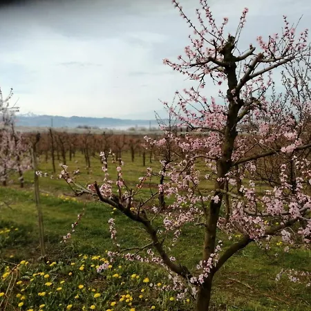 Apartament Hengnau In