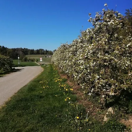 Apartament Hengnau In Wasserburg